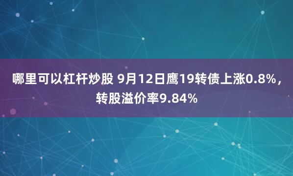 哪里可以杠杆炒股 9月12日鹰19转债上涨0.8%，转股溢价率9.84%