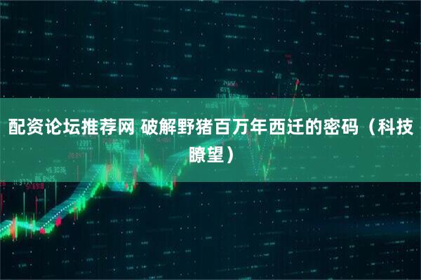 配资论坛推荐网 破解野猪百万年西迁的密码（科技瞭望）
